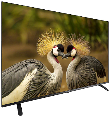 Телевизор Schaub Lorenz SLT55SU7500 preview 2