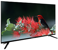 Телевизор Schaub Lorenz SLT43S6550